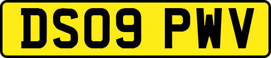 DS09PWV