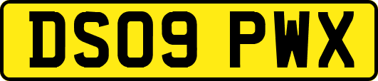 DS09PWX