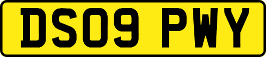 DS09PWY