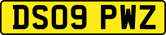 DS09PWZ