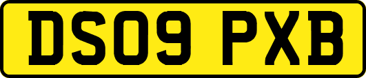 DS09PXB
