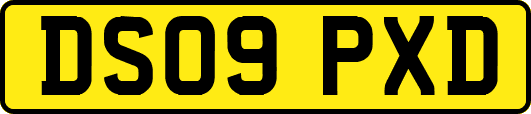 DS09PXD