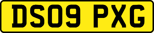 DS09PXG