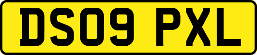 DS09PXL
