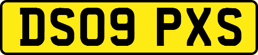 DS09PXS