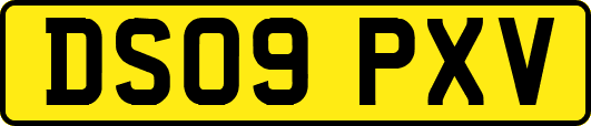 DS09PXV
