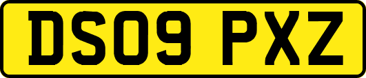 DS09PXZ
