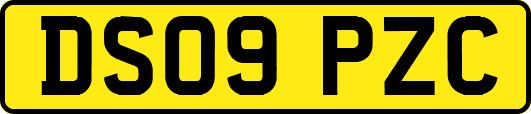 DS09PZC