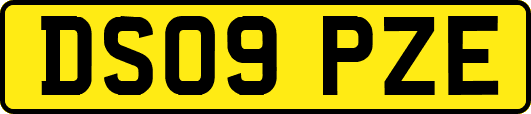 DS09PZE