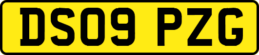 DS09PZG