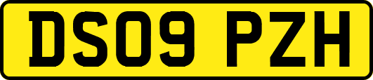 DS09PZH