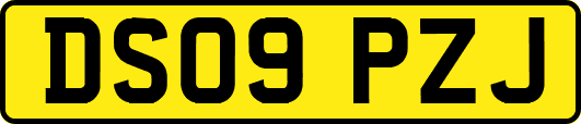 DS09PZJ