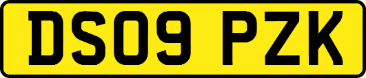 DS09PZK