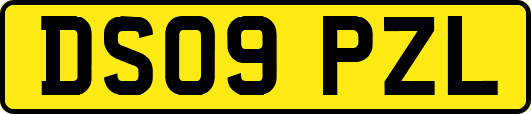 DS09PZL
