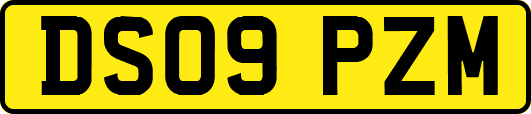 DS09PZM