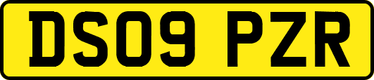 DS09PZR