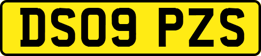 DS09PZS