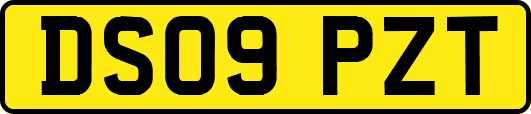 DS09PZT