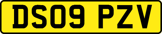 DS09PZV