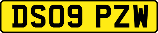 DS09PZW