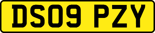 DS09PZY