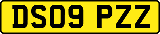 DS09PZZ