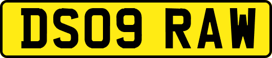 DS09RAW