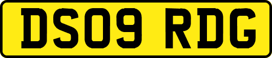 DS09RDG