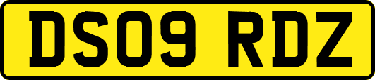 DS09RDZ