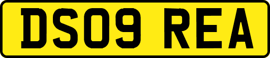 DS09REA