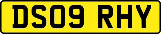 DS09RHY