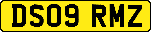 DS09RMZ