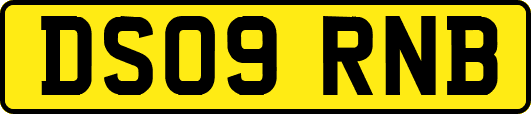DS09RNB