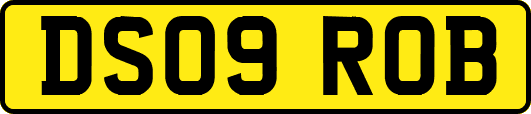 DS09ROB