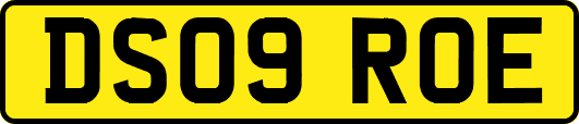 DS09ROE