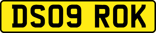 DS09ROK