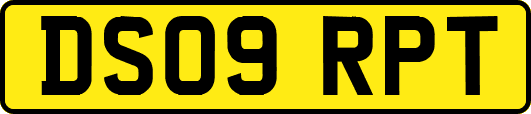 DS09RPT