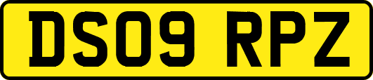 DS09RPZ