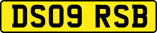 DS09RSB