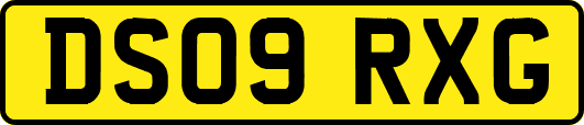 DS09RXG