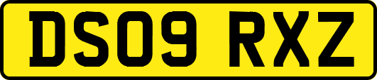 DS09RXZ