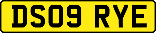 DS09RYE
