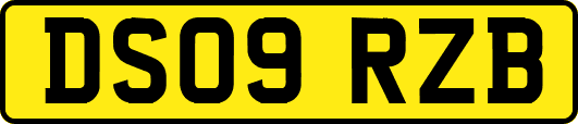 DS09RZB