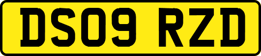 DS09RZD