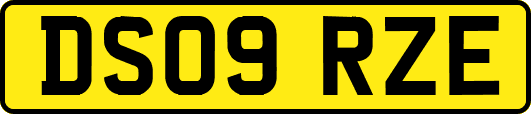 DS09RZE