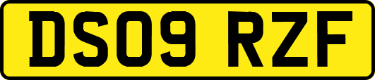 DS09RZF