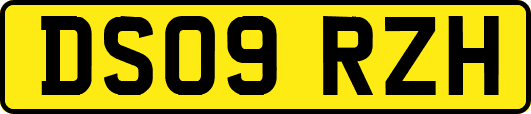 DS09RZH