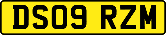 DS09RZM