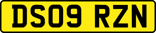 DS09RZN