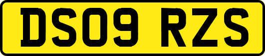 DS09RZS